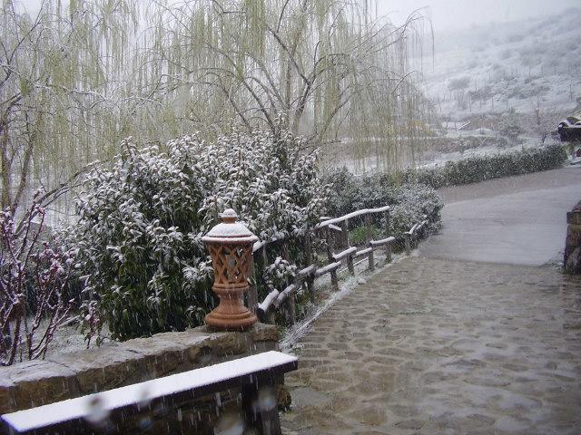Turismo Rurale Leanza Guest House Cesaro Bagian luar foto
